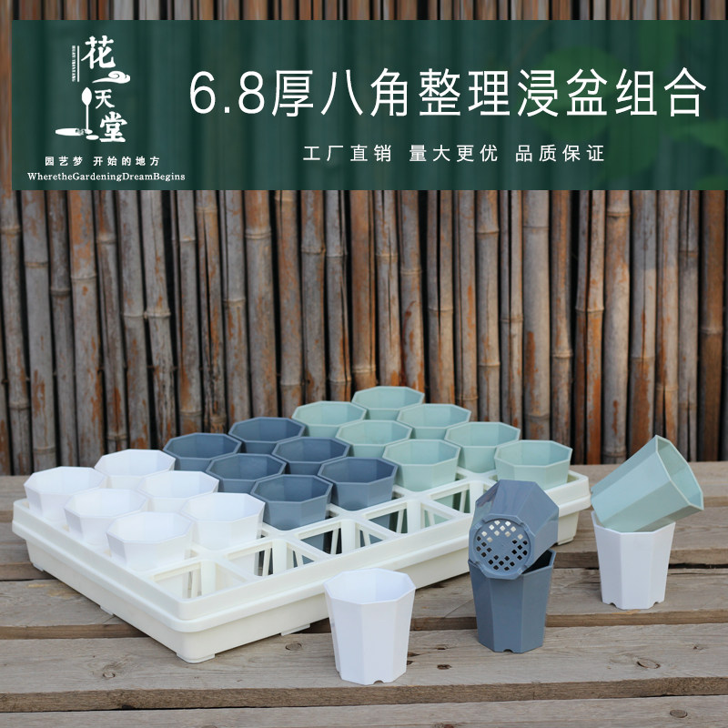 新品加厚八角多肉塑料盆整理托架浸水盘播种育苗扦插闷养种植花盆
