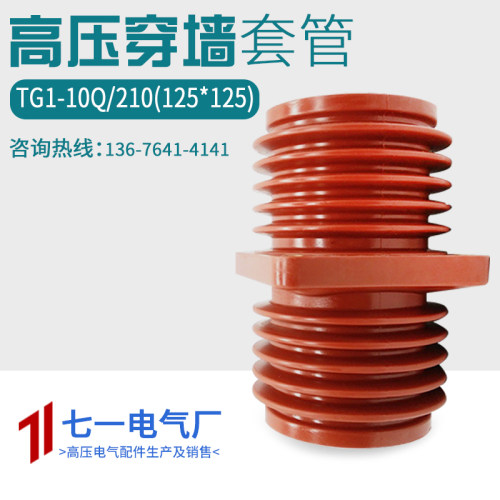 TG1-10Q/210 (125*125)套管10kv 12kv穿墙套管 环网柜用 环氧树脂