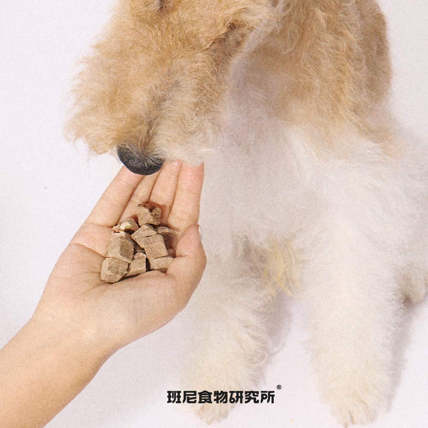 Penny's狗冻干零食0添加挑嘴