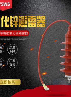 10KV带电缆型 高压氧化锌避雷器  HY5WS-17/50Q 10KV高压避雷器