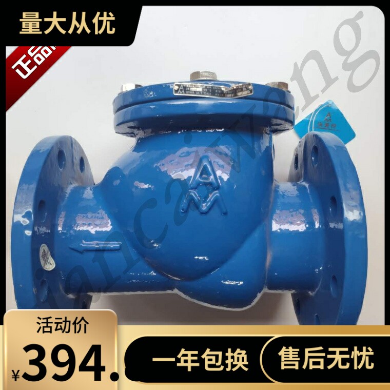 埃美柯9498球铁法兰旋回式止回阀加厚阀体耐腐蚀多口径 DN50-200