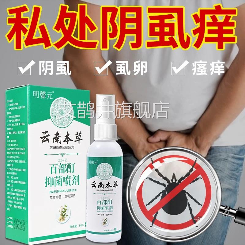 云南本草男百部酊抑菌喷剂灭阴虱虫卵双杀私处阴毛痒专用虱子药艾