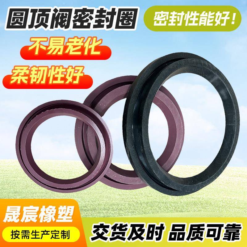圆顶阀密封圈加工电厂插入式橡胶密封圈耐高温橡胶圈工业阀门胶圈