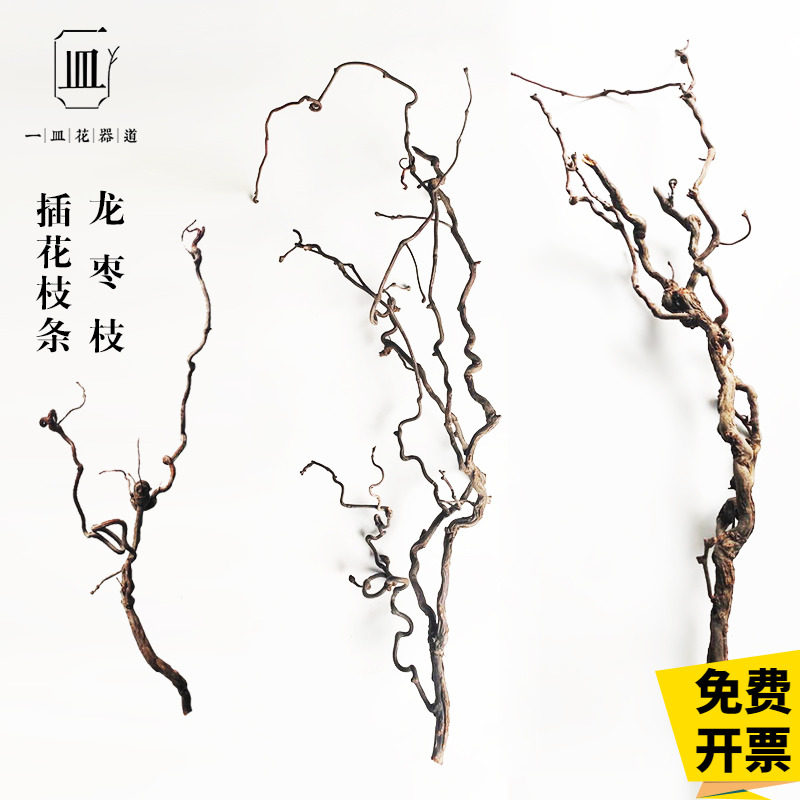 龙枣枝花材枝条干枝花道插花花艺主枝使枝天然造型工具摆件软装