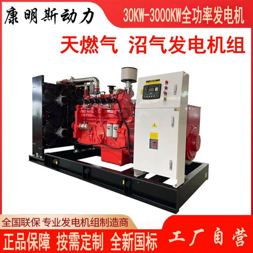 天然气沼气LPG发电机组50KW100KW200KW250KW300KW三相380V