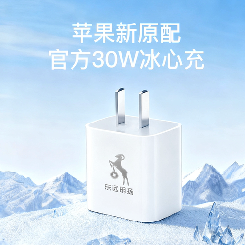 东远明扬30W充电器线PD套装14/13