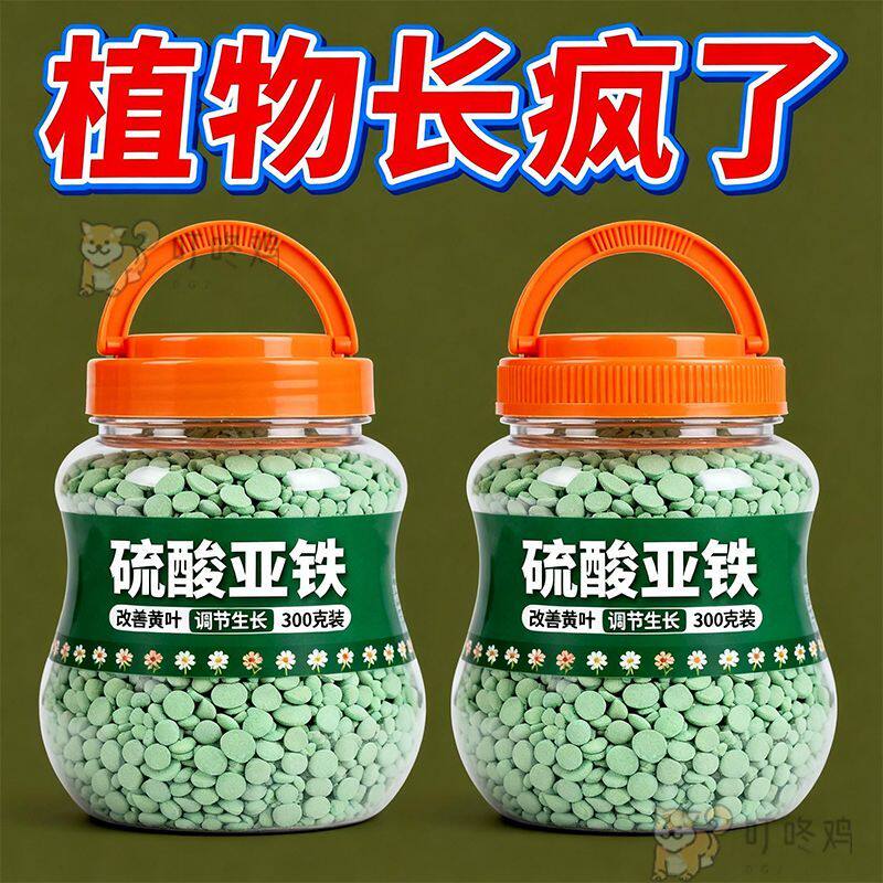 硫酸亚铁花肥料水溶肥家用盆栽通用治黄叶绿酸性喜酸植物花卉铁肥