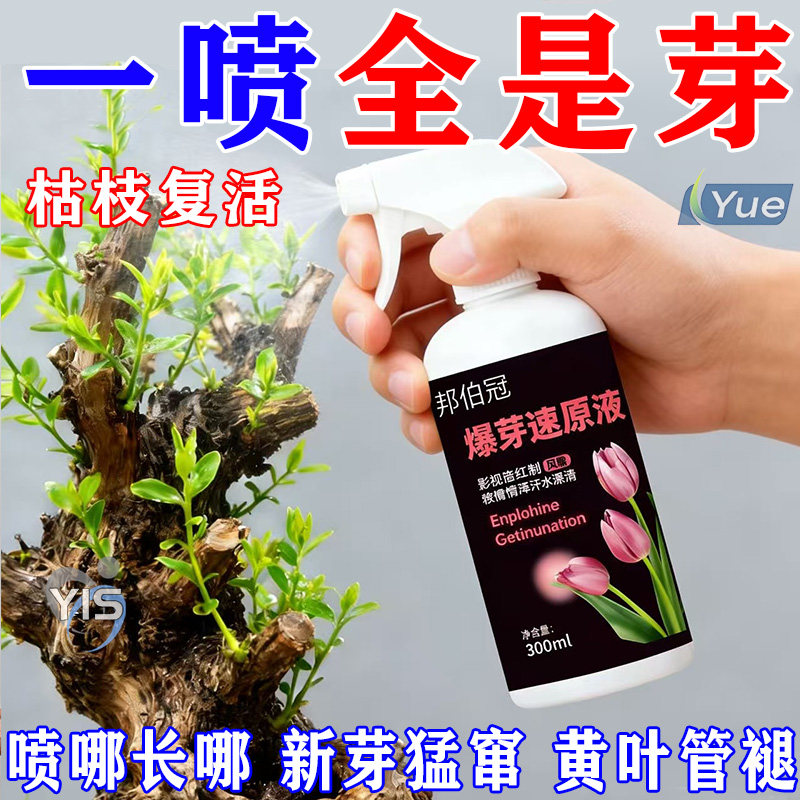 爆芽速原液植物爆芽素优芽素营养