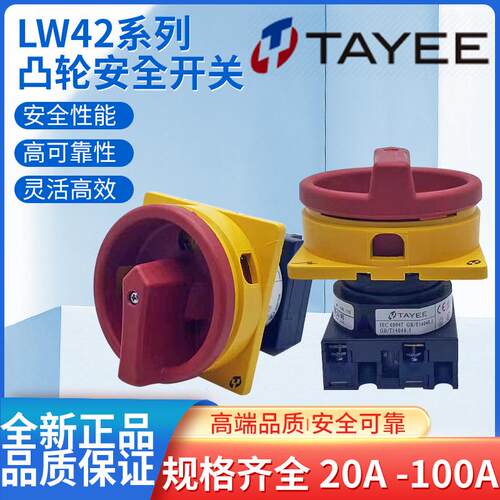 上海天逸LW42B-1824LW42B25B32B40B63-1016-1017/L凸轮转换开关