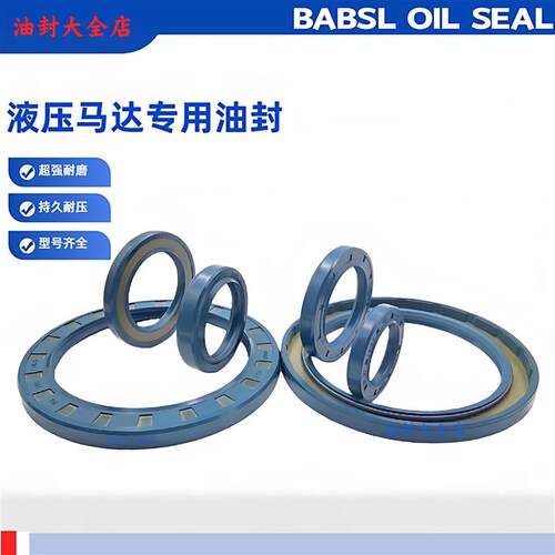 进口德国CZ骨架油封BAB3SL 45*65*8/8.5 BAB5SL110*130*12/13