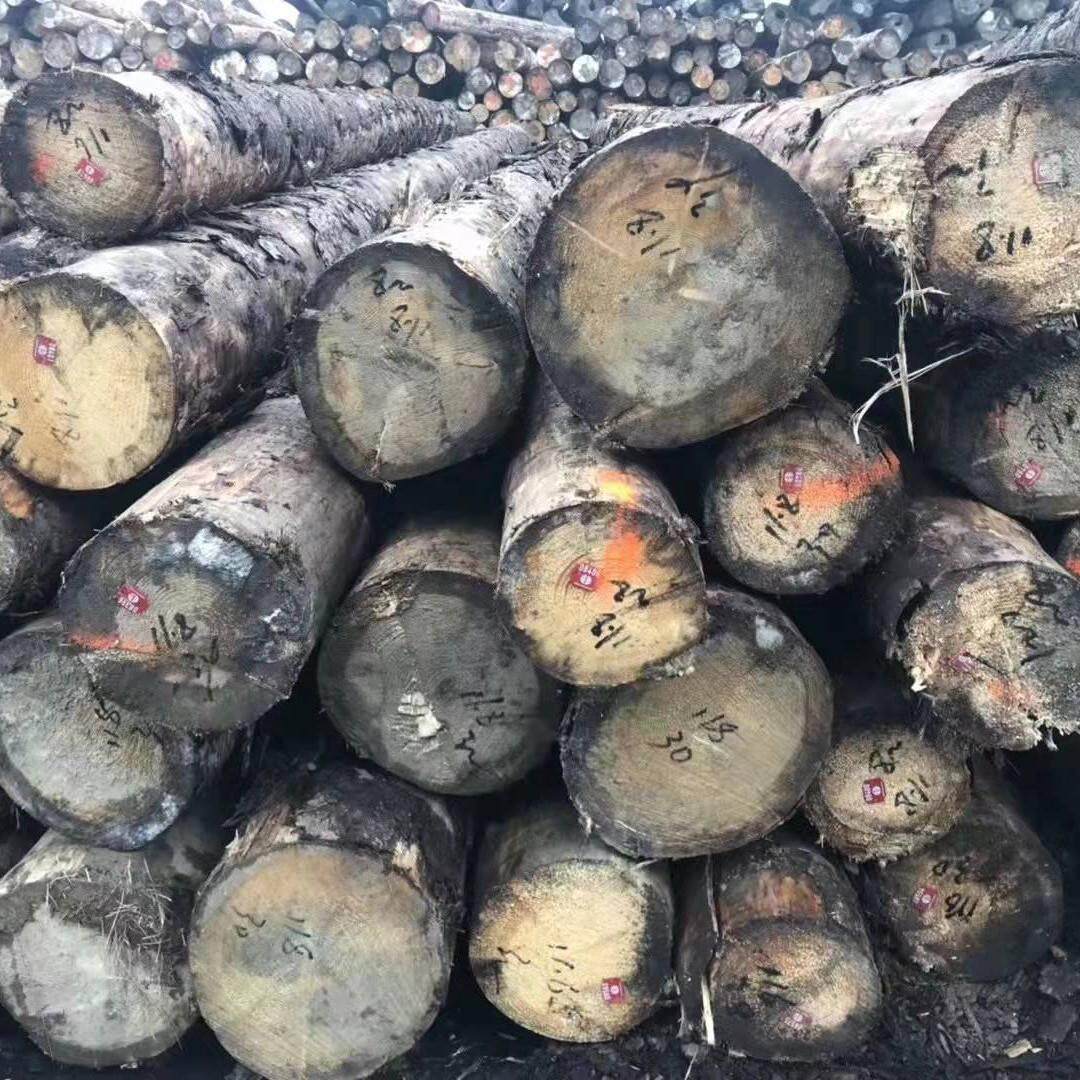 大口径云杉原木防腐木云杉工地建筑木方家具烘干板材杉木条龙骨