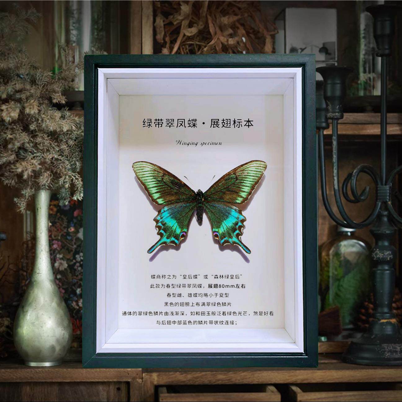 相框中空标本框木质玻璃立体黑色蝴蝶昆虫装裱自装摆台展示画框