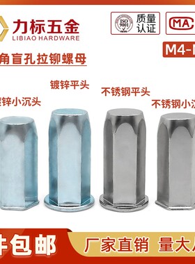 304不锈钢全六角拉铆螺母镀锌小沉头全六角盲孔铆螺母M4M5M6M8M10