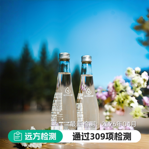 远方好物100%白桦树汁0脂低卡