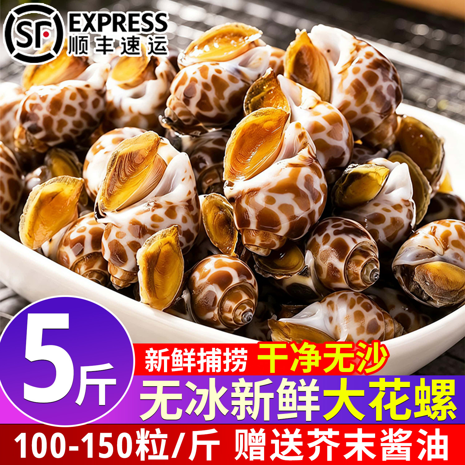 花螺鲜活新鲜特大号海螺海鲜水产鲜活鲜冻冷冻东风螺花螺特大贝类
