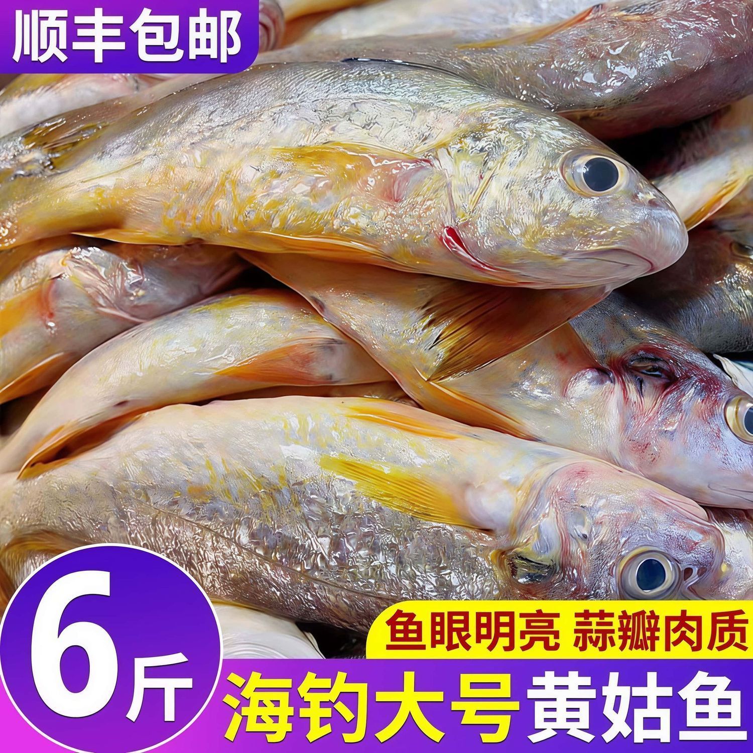 野生黄姑鱼新鲜冷冻鲜活黄姑鱼深海黄姑子鱼海钓黄鱼海鲜水产批发