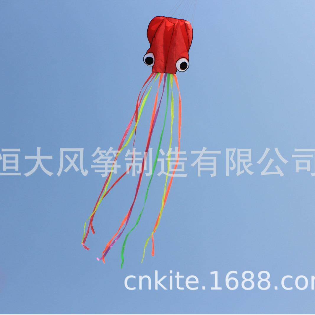潍坊风筝2件组合风筝–彩虹三角风筝和4米软体章鱼户外好飞