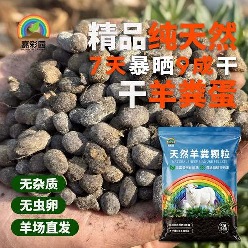 嘉彩园纯天然干羊粪蛋颗粒无虫