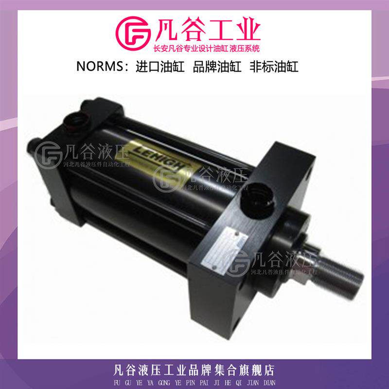 美国LEHIGH拉杆式油缸液压缸 H20S0275AB0200 气压缸高压工业油缸