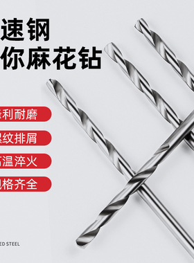 高速钢HSS直柄麻花钻头 佛珠打孔微型小钻头组合套装