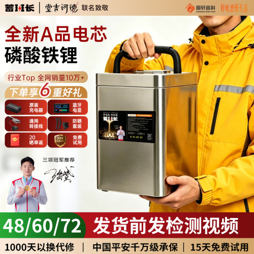 蓄班长电动车锂电池全新A品电芯