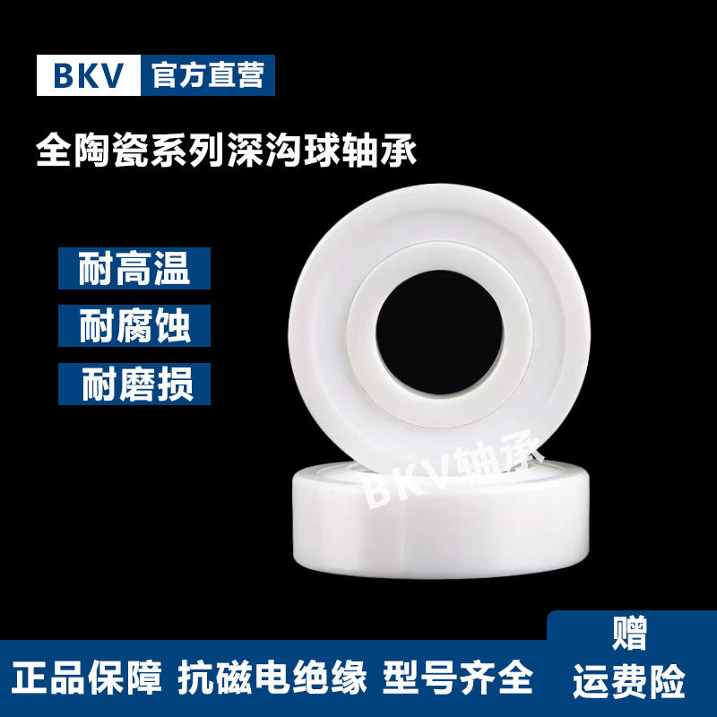 氧化锆满珠陶瓷轴承 6300 6301 6302 6303 6304 6305 6306CE 进口