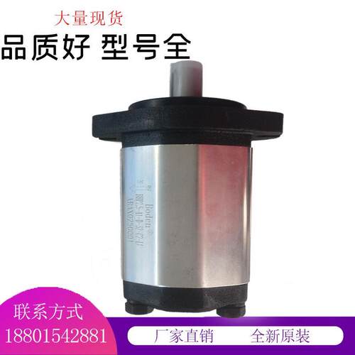 BHP2.5A1D45C2F1/L1齿轮泵D14/D16/D18/D20/D25/D28/30/36/40C2F1