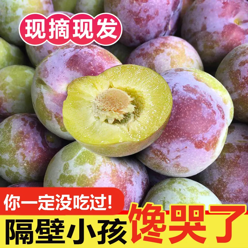 四川半边红李子凤凰李新鲜现摘脱骨脆李当季大果茵红李酸甜多汁