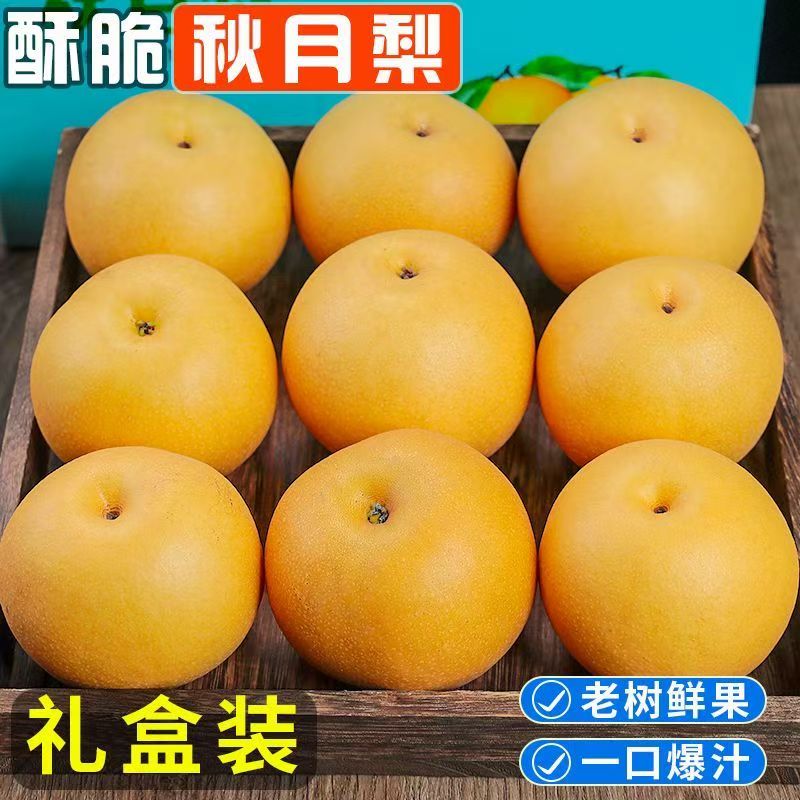 正宗秋月梨新鲜水果礼盒装酥脆多汁老树鲜果一口爆汁送礼划算