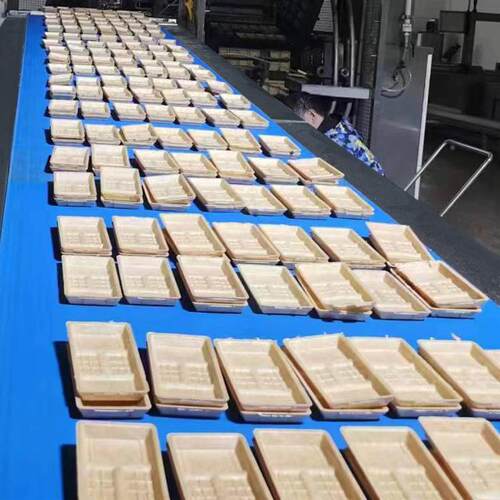 商备用雪糕冰淇淋威化饼设型方糯米船方糕雪糕21冰棒生产线加工