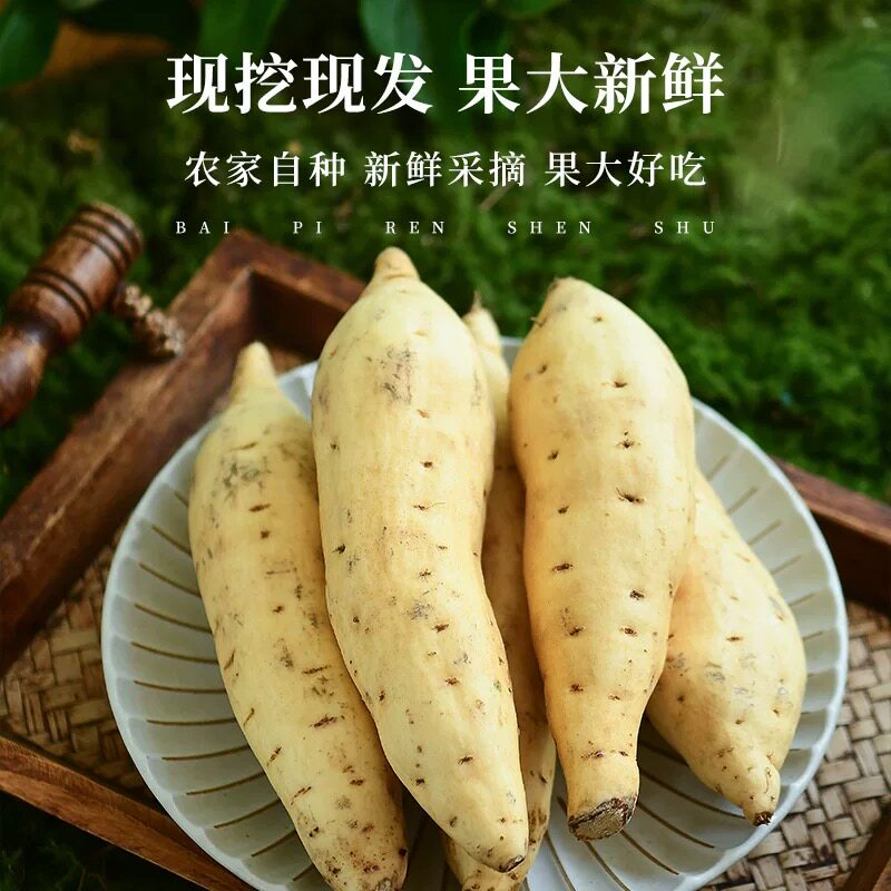 薯世佳正宗巴马白皮牛奶人参薯白心粉糯香甜红薯新鲜现挖番薯地瓜