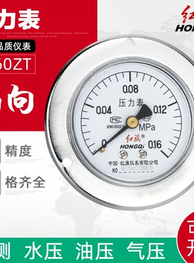 厂家直销 红旗仪表 压力表 Y-60ZT 2.5级 0-1mpa 轴向带边