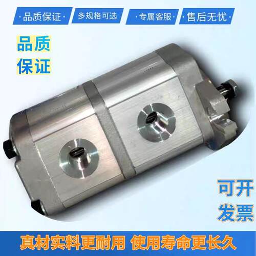 垃圾车双联油泵CBTLDF-F316/F310-AL4Z1液压齿轮油泵PLP20环卫车