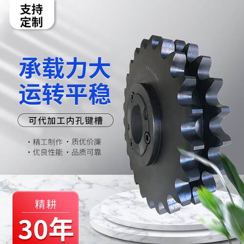 不锈钢碳钢铸铁球铁锥套式大直径链轮10B定制厂家sprocket