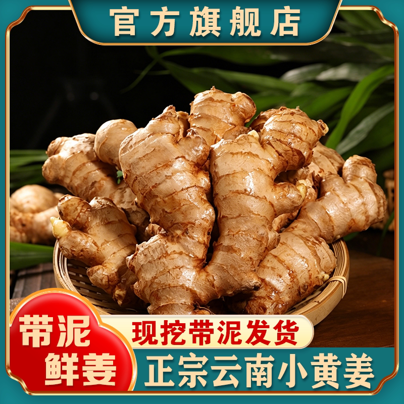 正宗云南小黄姜生姜新鲜现挖辛辣