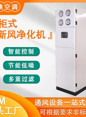 柜式新风机商用新风净化型立柜式机组商用超静音过滤柜式空调机组