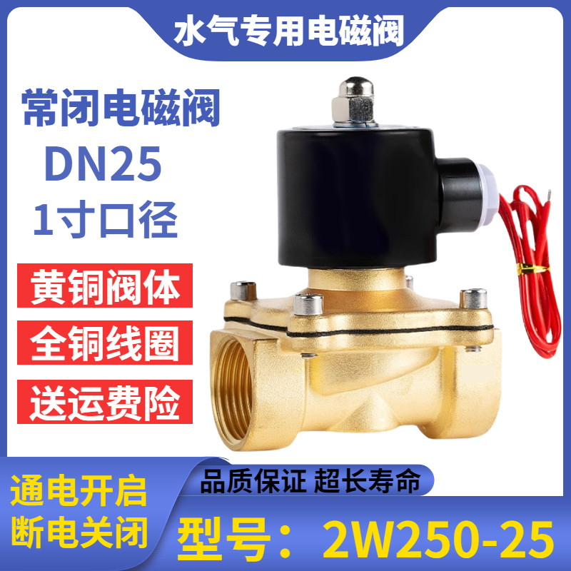 常闭电磁阀220vDN25电动开关阀2W250-25货车淋水电磁控制阀dc24v