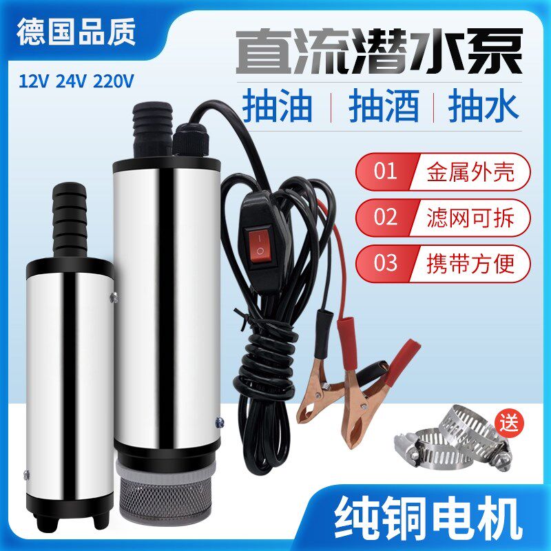 小型电动抽水泵新款电动抽酒专用泵12V220家用多功能抽油泵不锈钢
