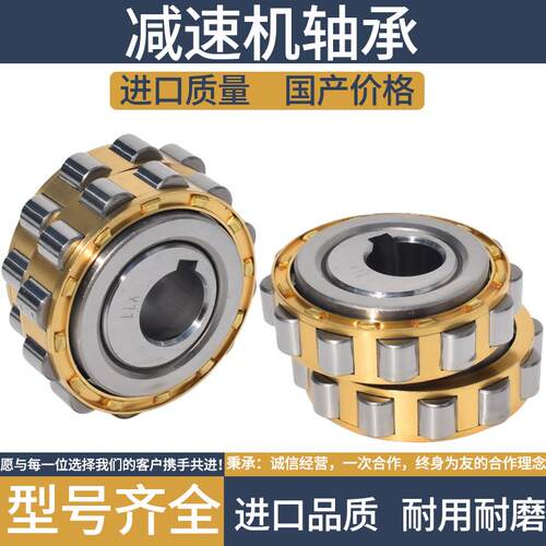 RN206减速机专用轴承205摆线轮307整体偏心204轴承309偏心套312EM