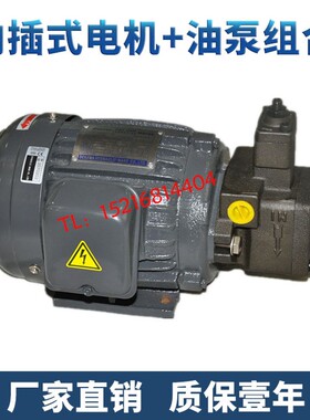 液压油泵电机组总成0.75KW/1.5/2.2/3.75KW/5.5 VP12/20/30/40FA3