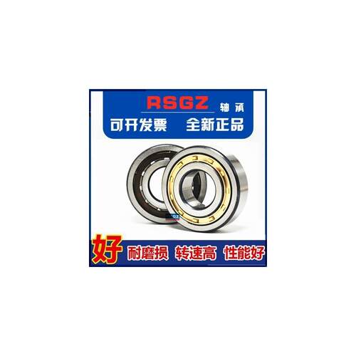 RSGZ圆柱轴承N NU NJ RN NUP 405 406 407 408 409 410 411 412EM