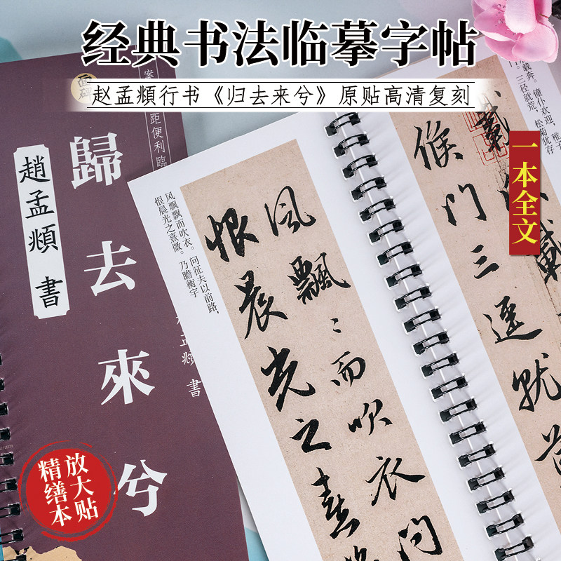 归去来兮辞赵孟頫毛笔字帖