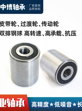 GB6204RS轴承传动轮皮带轮过渡轮加高加厚双列高速承载非标轴承