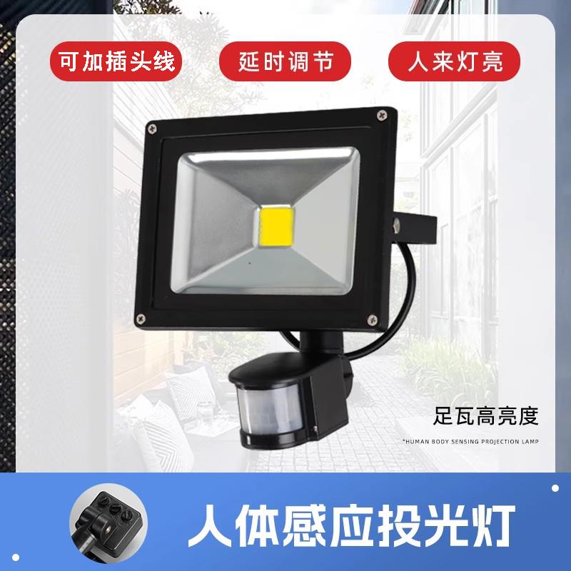110V LED智能人体雷达感应灯投光灯感应灯人来即亮户外防水感应灯图片
