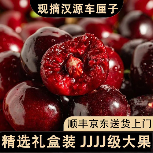 正宗汉源车厘子黑珍珠大樱桃新鲜应当季孕妇水果包邮直发一整箱