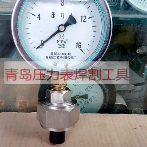 YTNP100隔膜压力表0.6,1,1.6,2.5等MPA青岛冠力特种仪器仪表厂