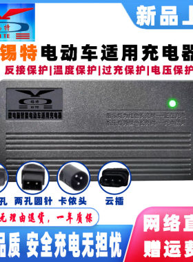 锡特电动车电瓶智能充电器48V12AH60V20AH72伏32AH96V108三孔圆针