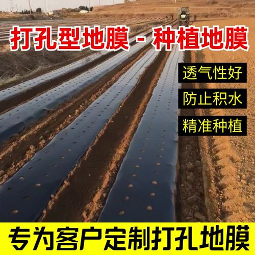 打孔黑地膜农用薄膜玉米蔬菜药材莴笋羊肚菌塑料圆孔保温除草薄膜