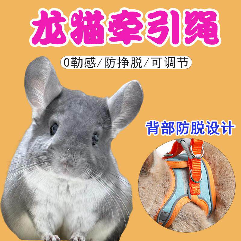 龙猫牵引绳专用背心式牵引外出训练背带式可调节锁扣项圈加长小型