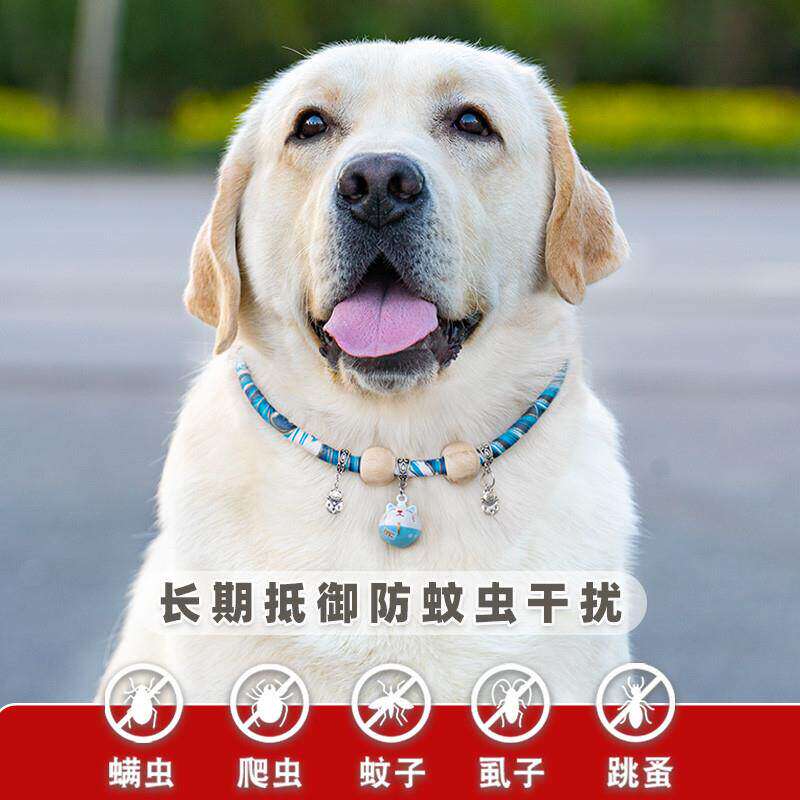 狗狗驱虫项圈宠物拉布拉